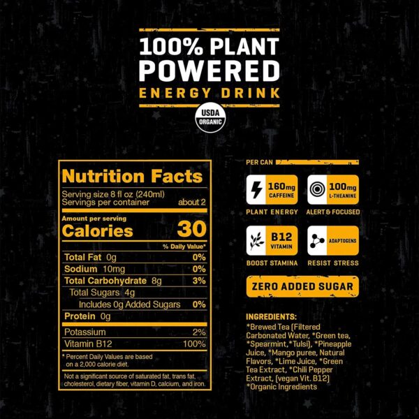 Riot Energy, Organic Mango Energy Drink, Plant Based, 16 fl. oz - Image 2