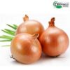 Cebola orgânica 600g