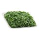 Couve higienizada fatiada fina 180g