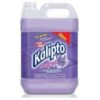 Desinfetante Kalipto lavanda 5lts