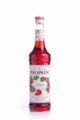 Xarope morango 750ml Monin