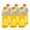 Isotônico Gatorade maracujá pet 500ml. ( pacote c/ 6 unid.)